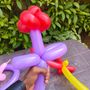 Balloons modelling